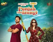 Punjab Nahi Jaungi (2017)