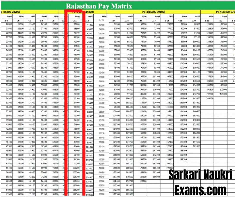 Rajasthan Pharmacist, Nursing Officer Salary 2024 | Grade Pay Chart