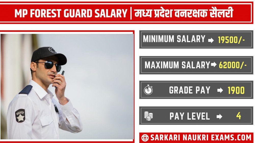 mp-forest-guard-salary-2024-vanrakshak-per-month-net-income