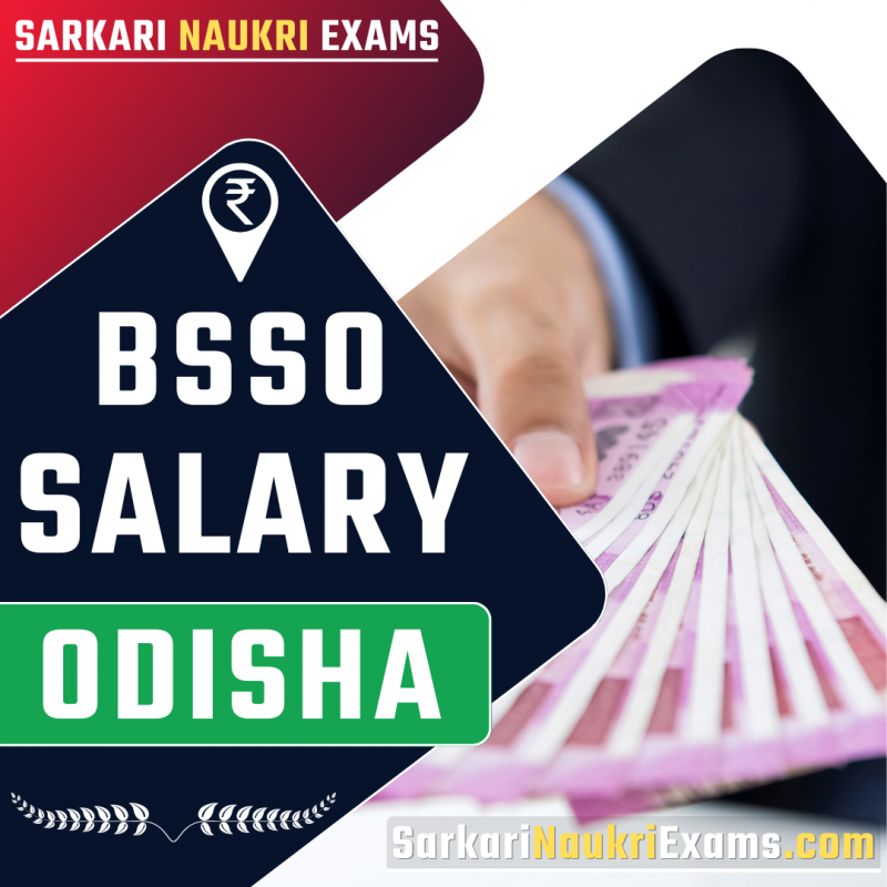 rajasthan-junior-accountant-salary-2024-rsmssb-cet-patwari