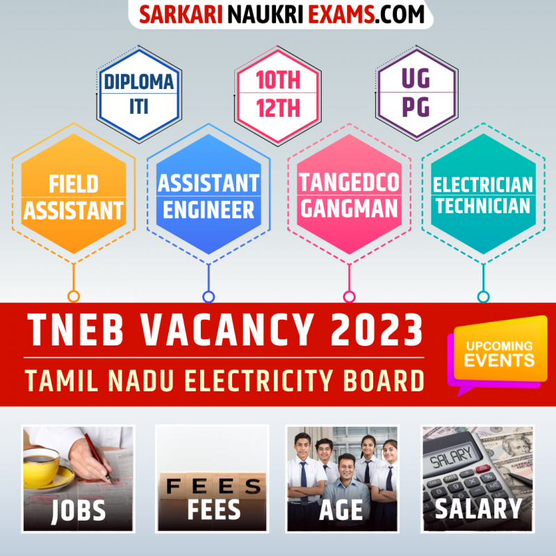 TNEB Recruitment 2024 Tamil Nadu Vacancy tangedco.gov.in 202424