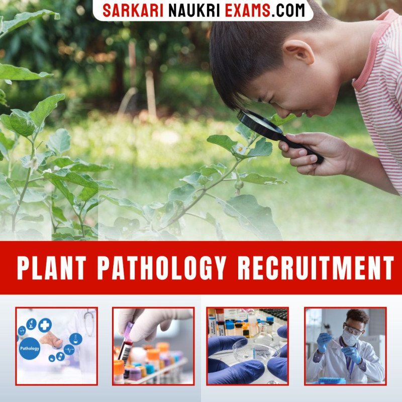 plant-pathology-recruitment-2024-plant-pathology-govt-job-vacancy