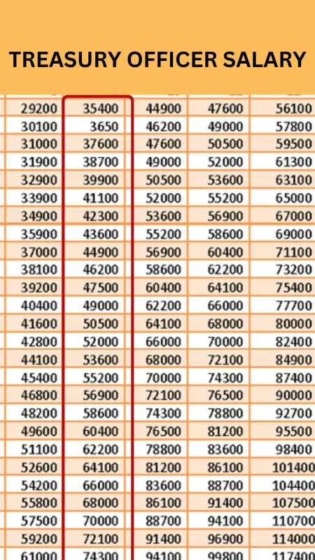 Treasury Officer Salary 2024 | TO | Monthly Payment, In Hand Amount