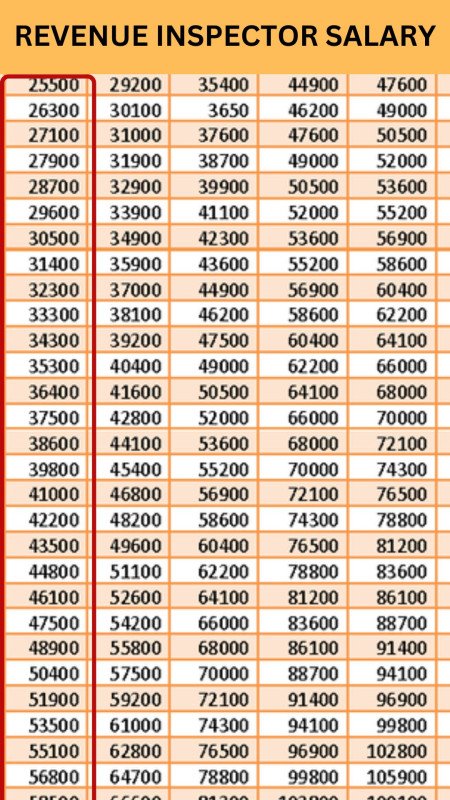 Revenue Inspector Salary Odisha