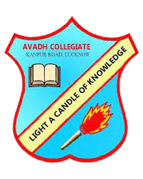 Avadh Collegiate, Lucknow (UP)